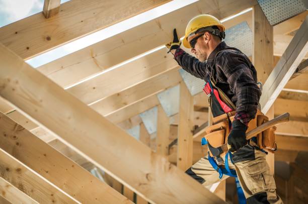 Best Roof Gutter Cleaning  in Tuscola, IL