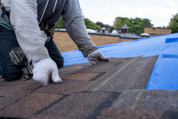 Best New Roof Installation  in Tuscola, IL