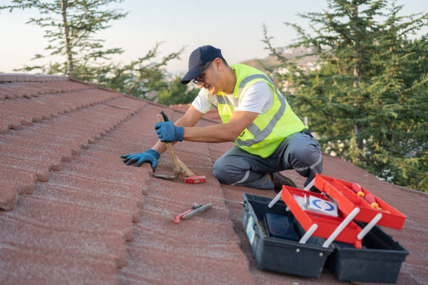 Roof Waterproofing Services in Tuscola, IL